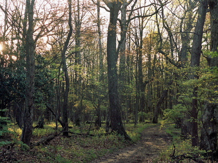 Hensley Trail